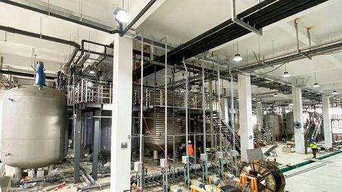 耗資20億的哈佛“長生不老藥”NMN工廠落戶寧波余姚，是科學突破還是網絡工程？